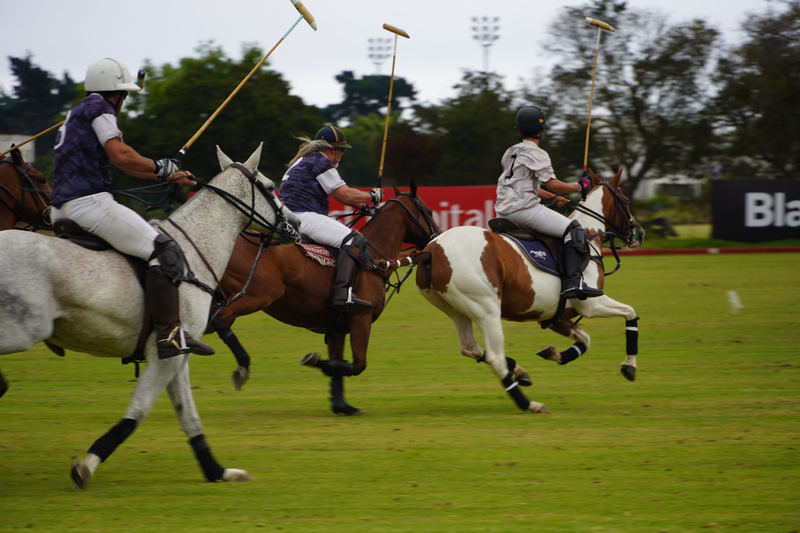 Temporada Polo Cachagua 2026 (Club Ecuestre Calá Vicuña, verano 2026)